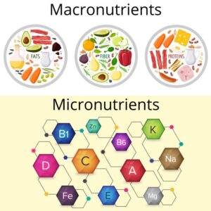 Micronutrients